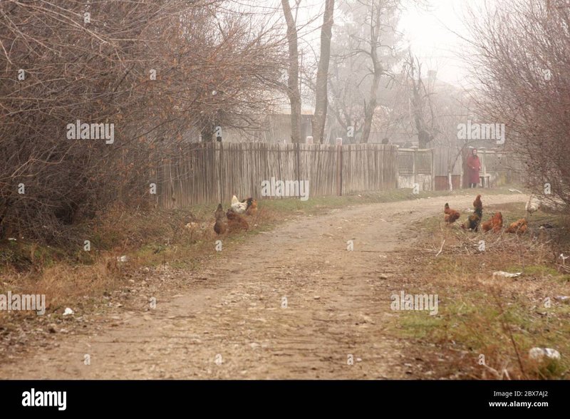 Descoperă Secretele Jocurilor de Noroc: Chicken Road în Republica Română în Romania